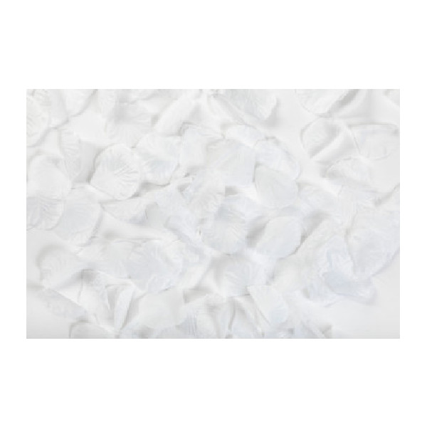 144 Pétalas De Rosa - Branco
