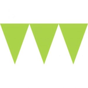 Bandeirola Em Cartolina 450Cm - Verde