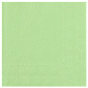25 Guardanapos Menta - Grandes