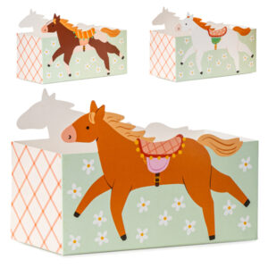Caixas de salgadinhos Cavalos, mix (1 pkt / 3 unid.)