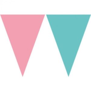 Bandeirola Azul E Rosa