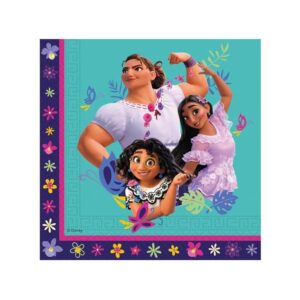 20 Guardanapos Encanto