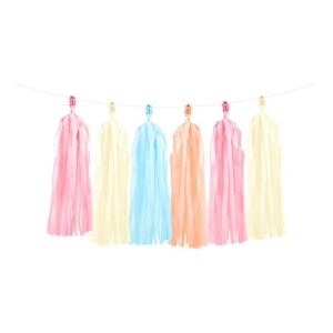 Tassel 200 Cm Mix Pastel
